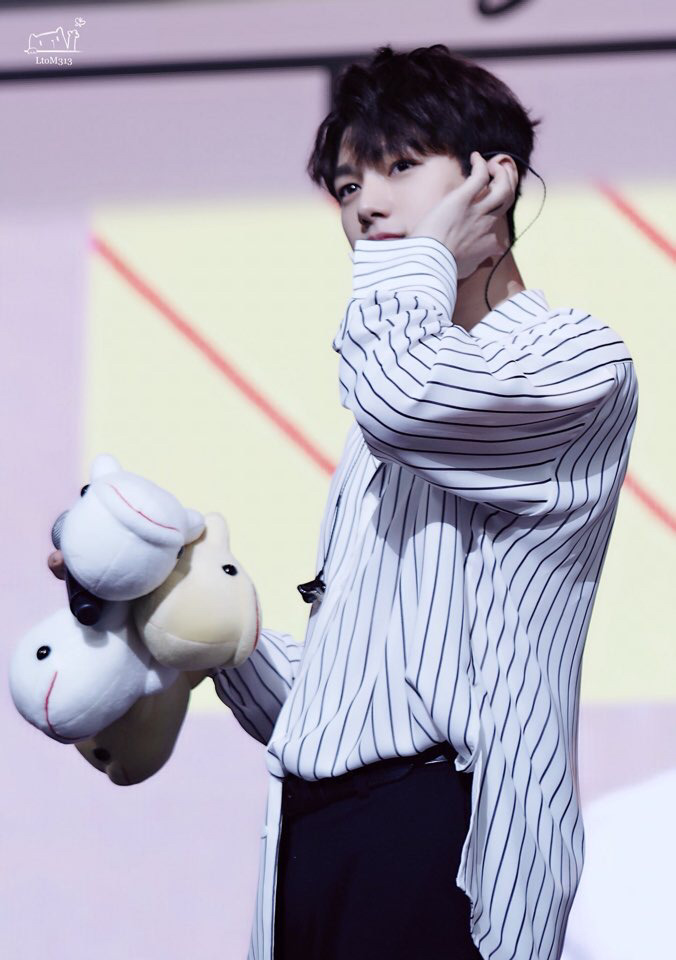노가 이미지