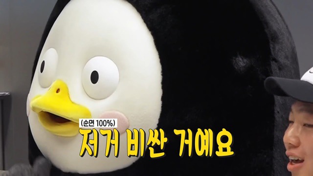 SBS간 EBS 자이언트 펭TV 펭수 | 인스티즈