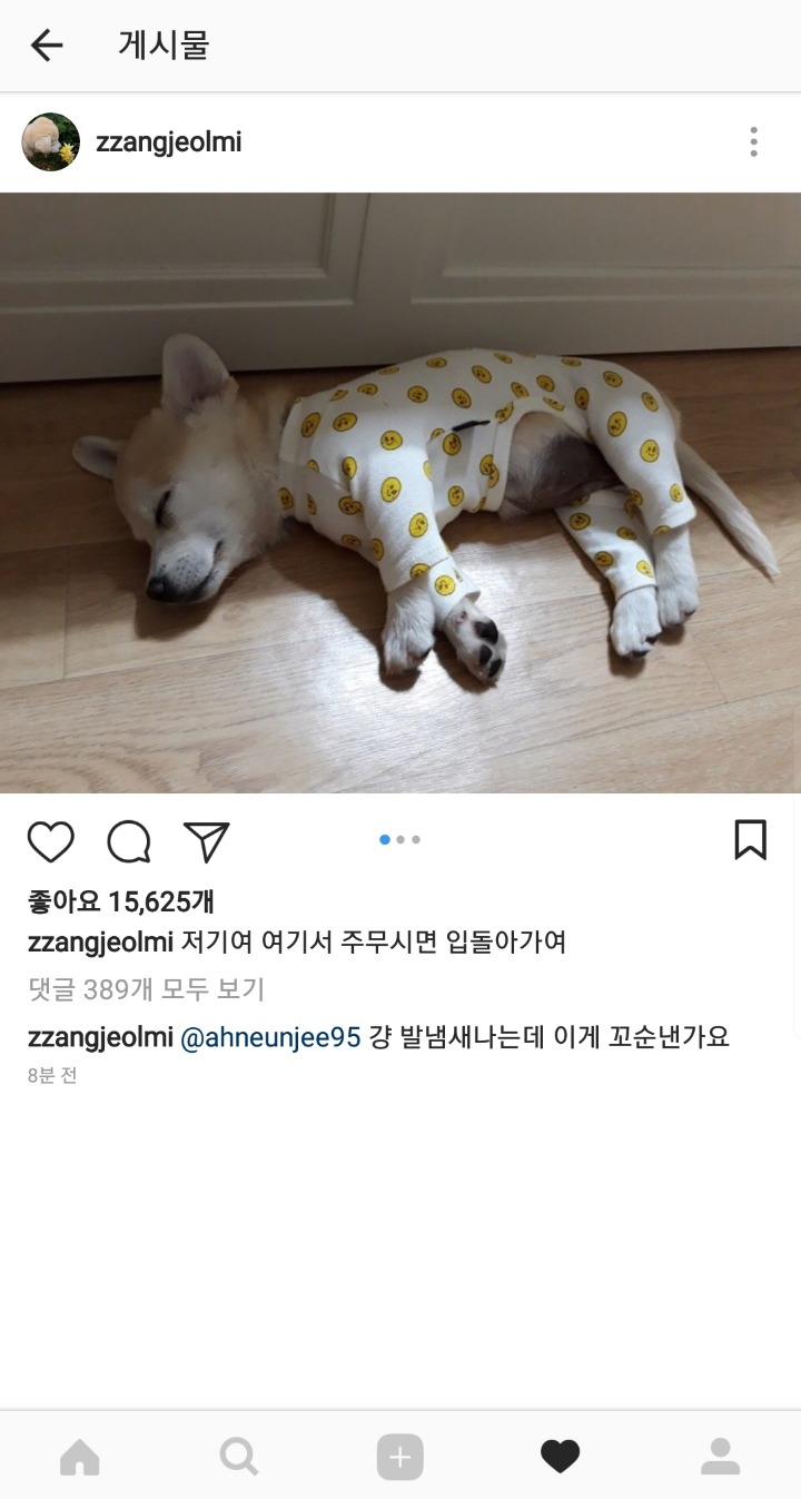 짱절미님 여기서 주무시면 입돌아가여.jpg | 인스티즈