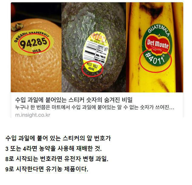 수입과일에 붙은 숫자 | 인스티즈