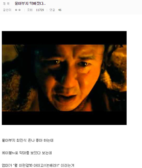 디시인의 평범한 일상 | 인스티즈