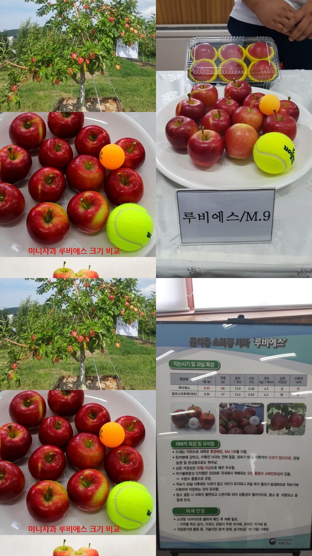 (주)아주농장 이미지