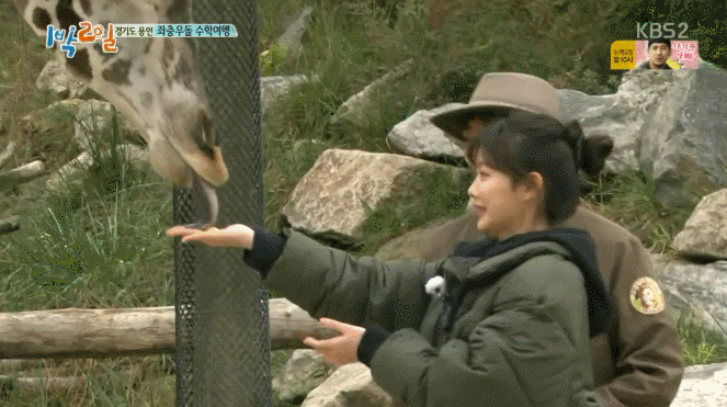 유정이의 기린 댄스.gif | 인스티즈