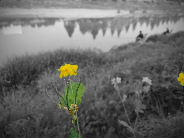 99545C4A5CDCA8242D1E6E