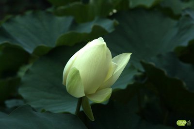 나만의소중함#1 이미지