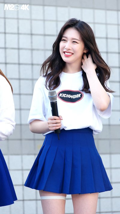 소나무 의진.jpg | 인스티즈