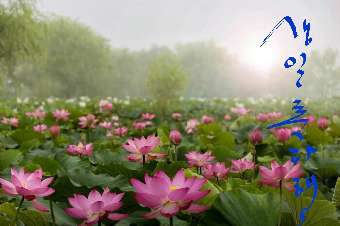 한*철 이미지