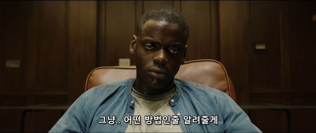 겟 아웃(Get Out) 이미지