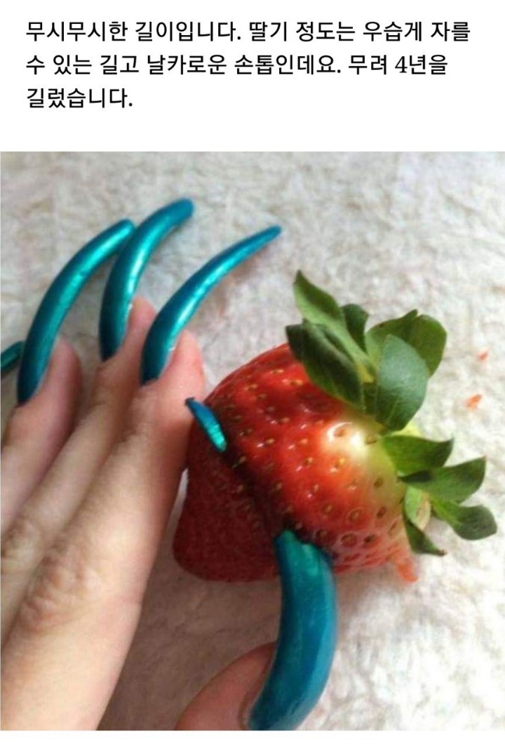 마녀손톱 이미지