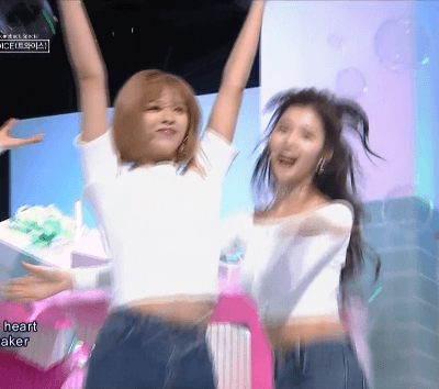 사나 vs 정연 | 인스티즈