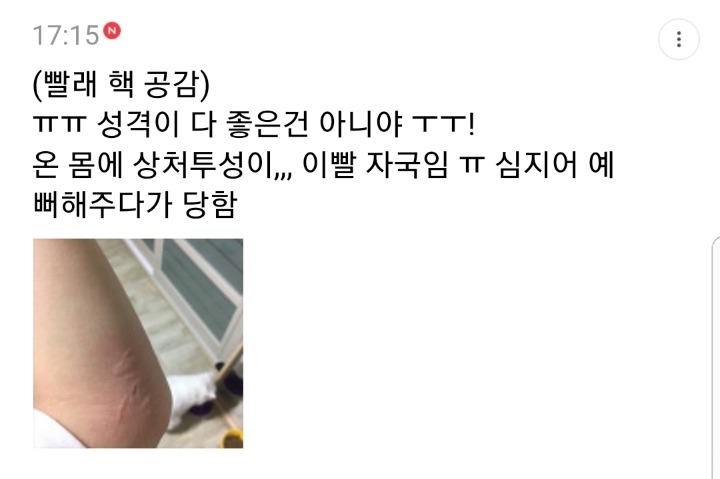 반려동물을 기른다는 것에 대한 현실(feat.매쫑)+댓글에도 여시들이 예시많이 올려주는중...! | 인스티즈