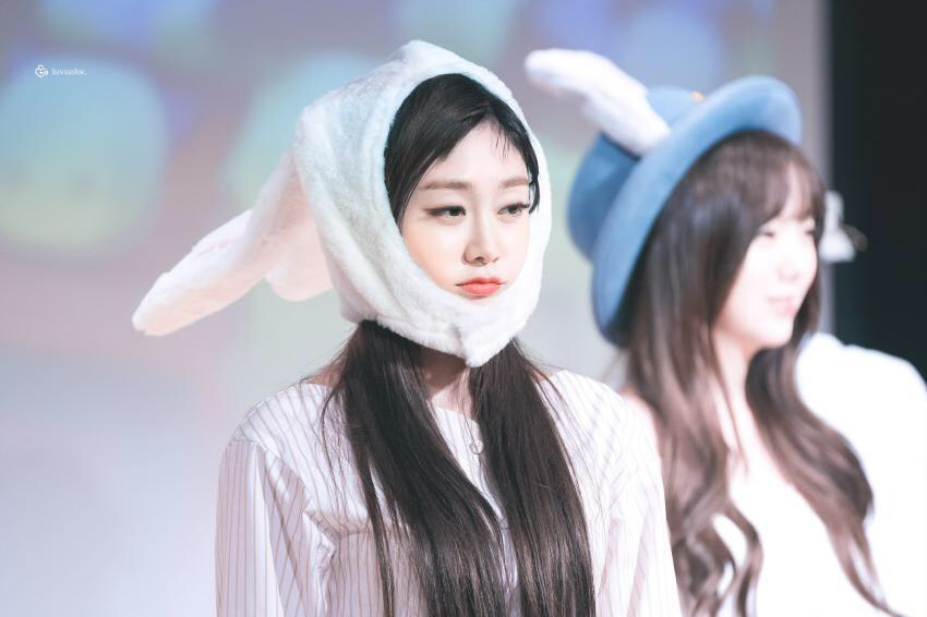[러블리즈] 토끼가 가장 잘 어울리는 멤버는? | 인스티즈