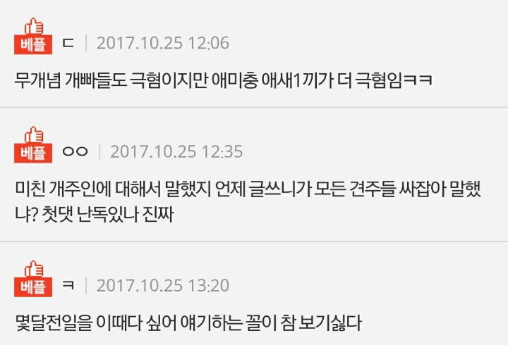 개 목줄 안하고 다니던 개주인에게 당한 열받는 경험담 | 인스티즈