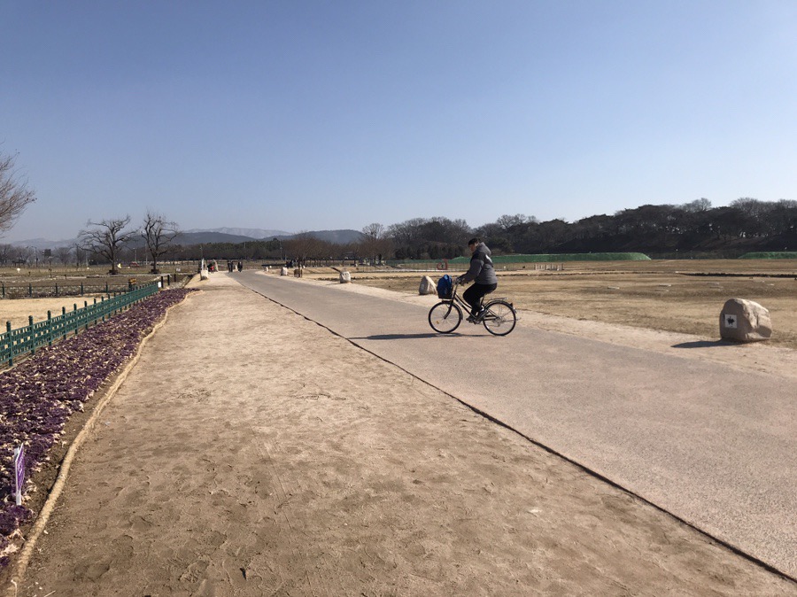 고속자전거，스쿠터대여점 이미지
