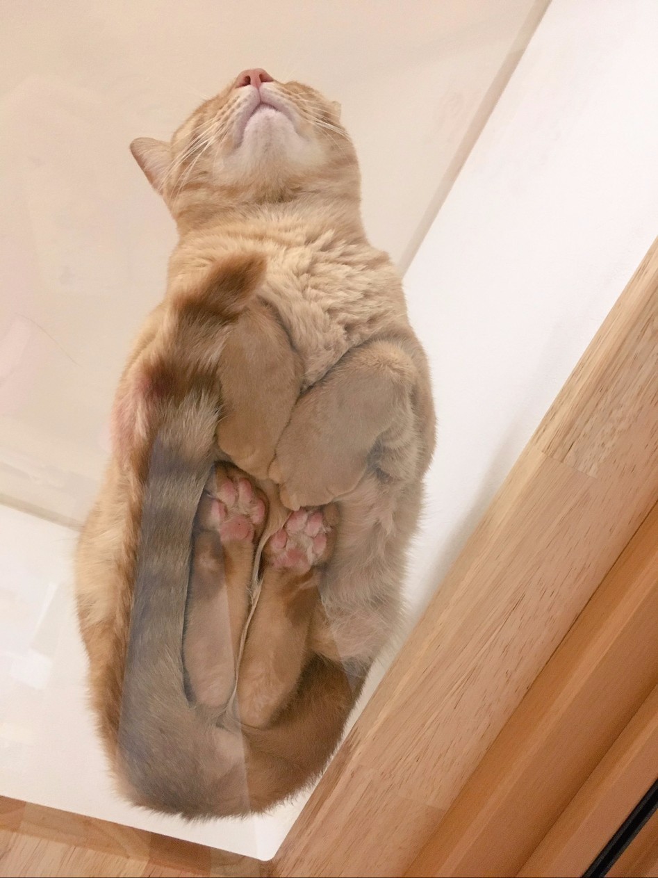 밑에서 본 식빵 | 인스티즈