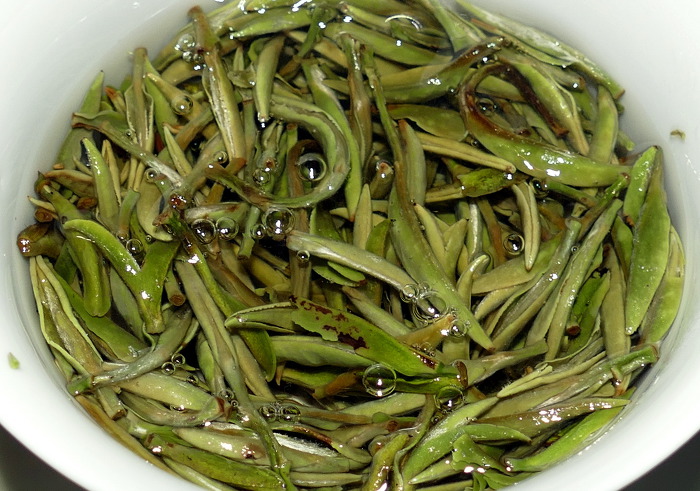백차 이미지