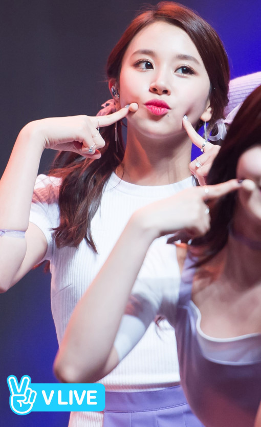 트와이스 채영 | 인스티즈