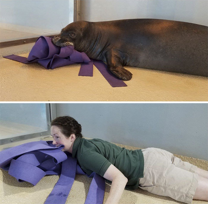 동물들을 이해하기 위해 가까워지려는 사육사들.jpg | 인스티즈
