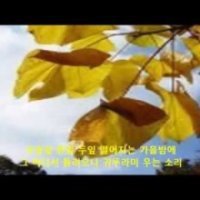 오동 이미지