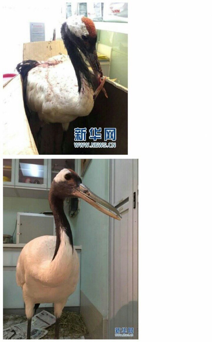 나약했던 과거는 잊어라 | 인스티즈