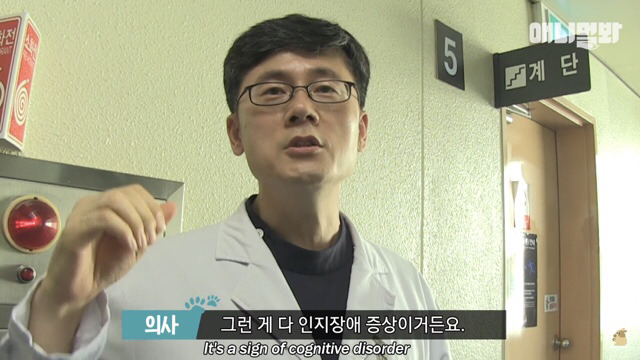 주인님이 열흘 째 문을 열어주지 않아요.. (캡쳐) | 인스티즈