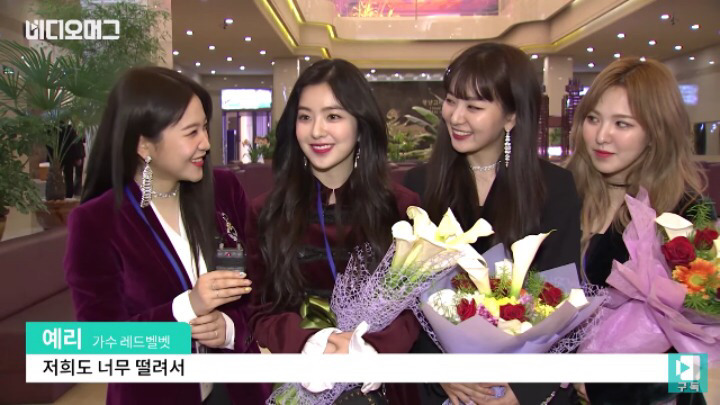 레드벨벳 평양 공연 후 인터뷰 전문 | 인스티즈