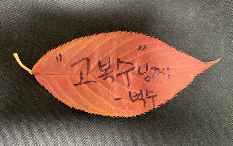 눈이 반짝거리는 한지민 | 인스티즈