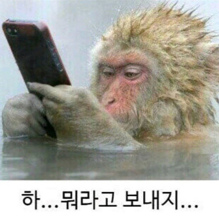모쏠이 좋아하는 여자에게 카톡 보낼때 | 인스티즈