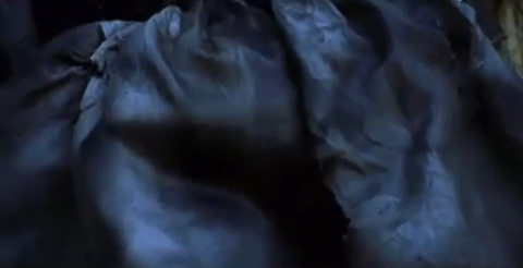 이젠 공포가 아닌 것 같아요 : 사탄의 인형 4 : 처키의 신부 마지막편 | 인스티즈