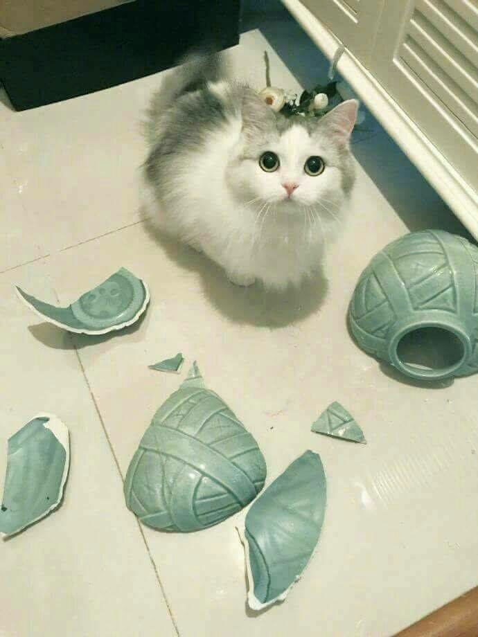 왜 화가나셨어요? | 인스티즈