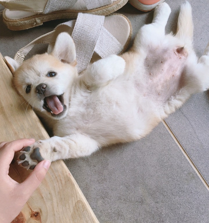 재업로드된 짱절미 사진 모음집.jpg(사진29장) | 인스티즈