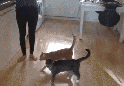 좋아,자연스러웠어.gif | 인스티즈