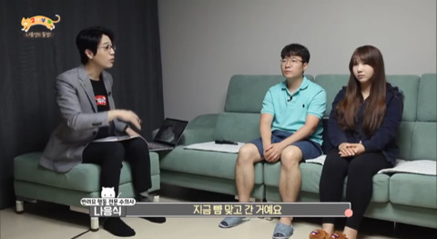 고양이가 아니라 인형을 키우는듯한 집 .jpg | 인스티즈