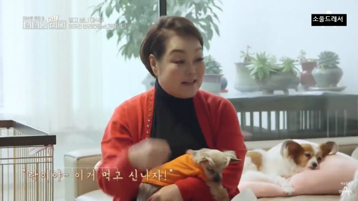  빅마마 이혜정의 스트릿출신 반려견들 (귀여움주의) | 인스티즈