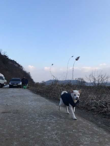 리틀 포레스트 오구.JPG | 인스티즈