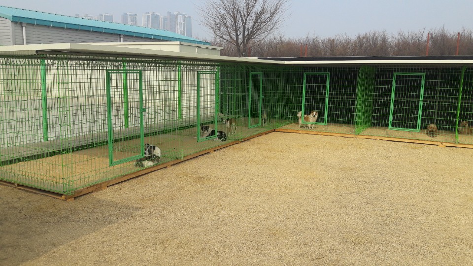 마리농장 이미지