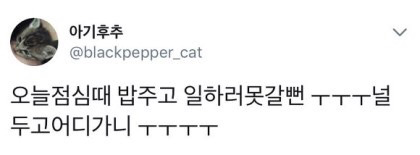 집사가 출근을 힘겹게 하는 이유.twt | 인스티즈
