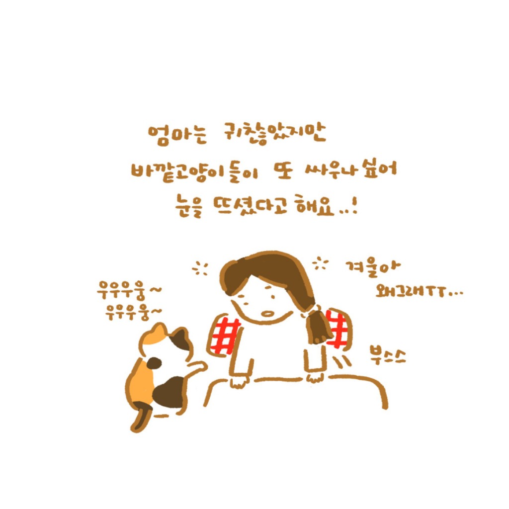 은혜갚은 고양이 겨울이 ㅜ.ㅜ | 인스티즈