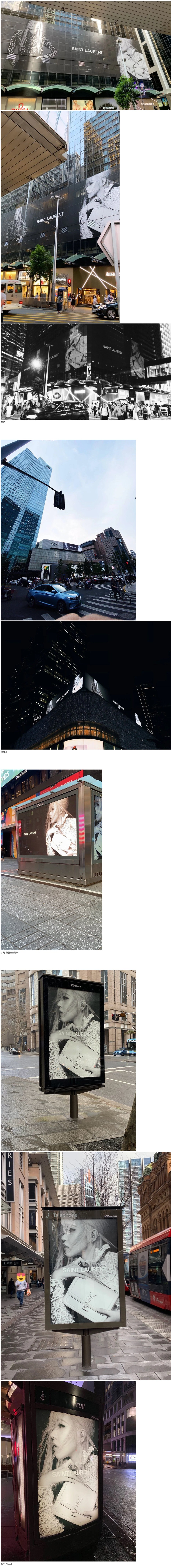 현재 전세계 도배중인 생로랑의 얼굴 블랙핑크 로제....jpg | 인스티즈