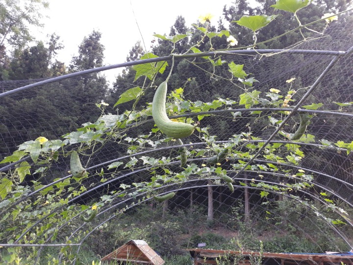 천복권방 이미지