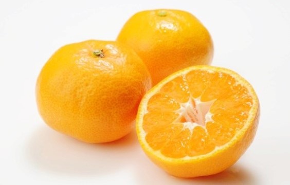 평생 둘 중 한가지를 포기해야한다면? | 인스티즈