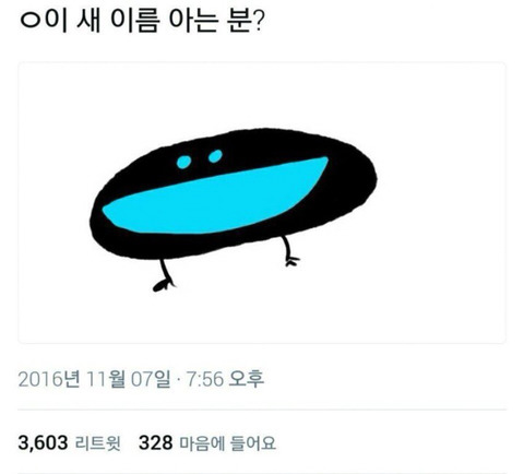 신기하게 생긴 새 | 인스티즈