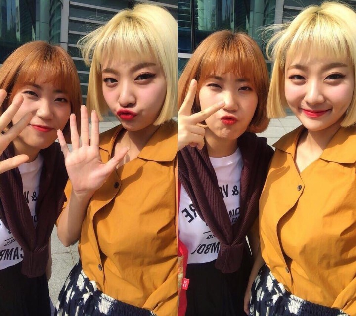 금손 이미지