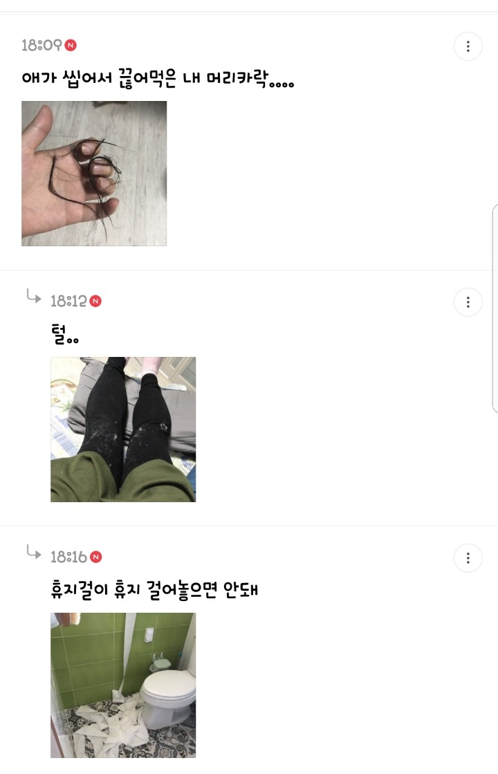 반려동물을 기른다는 것에 대한 현실(feat.매쫑)+댓글에도 여시들이 예시많이 올려주는중...! | 인스티즈