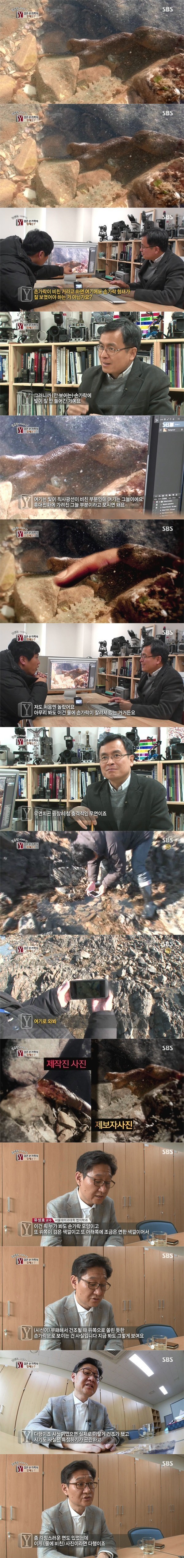 잘린손의 진실 | 인스티즈