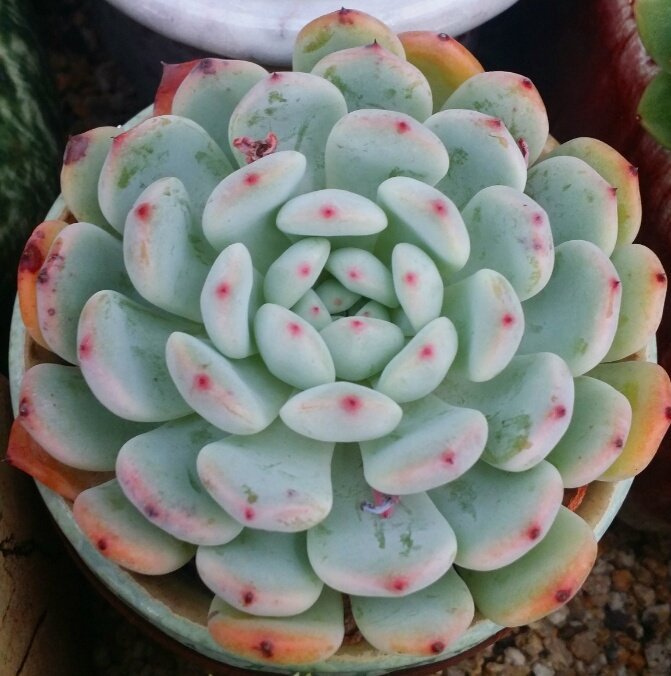 티피 이미지