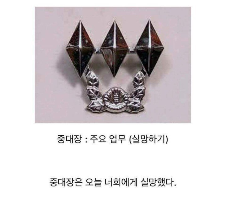 실망을 가장 많이 하는 직업 | 인스티즈