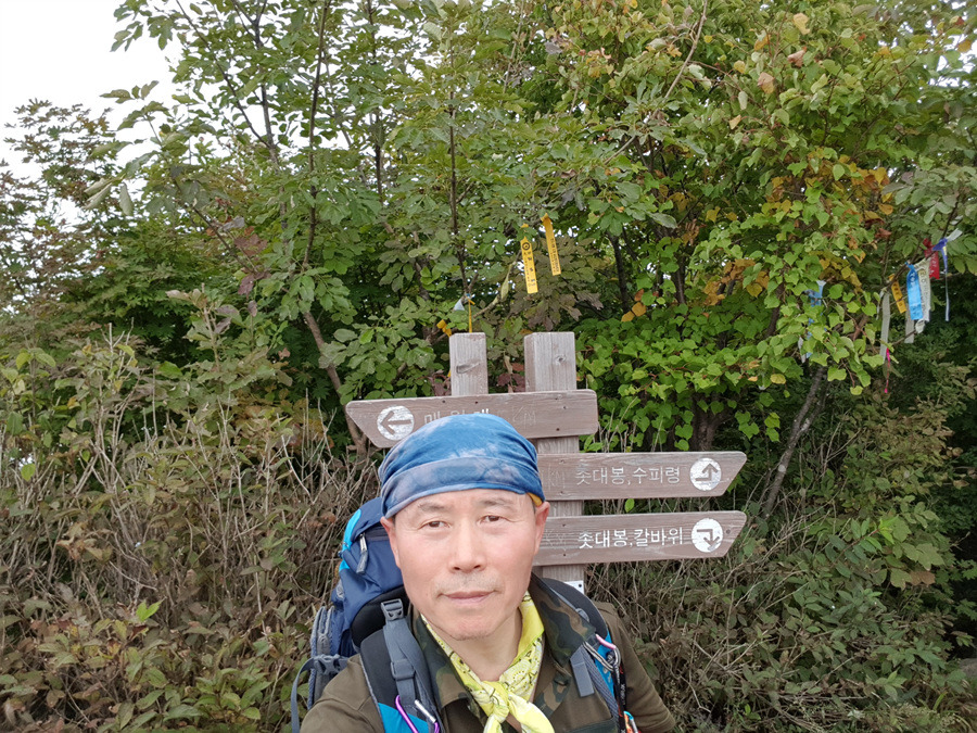 노송쉼터 이미지