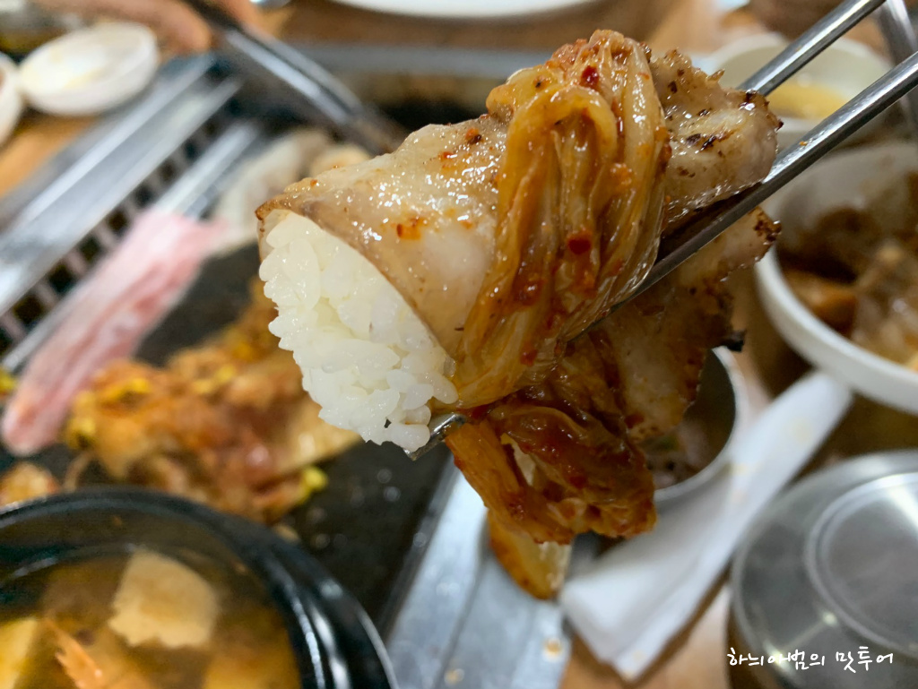 제주대패 이미지