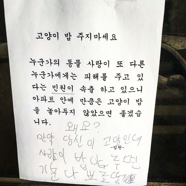 고양이 밥주지 마세요 | 인스티즈
